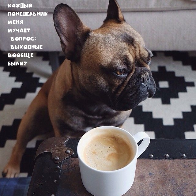 Каждый понедельник меня мучает  вопрос: выходные вообще были?