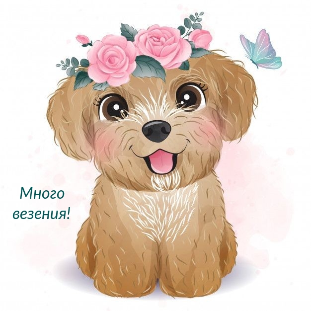 Много везения!
