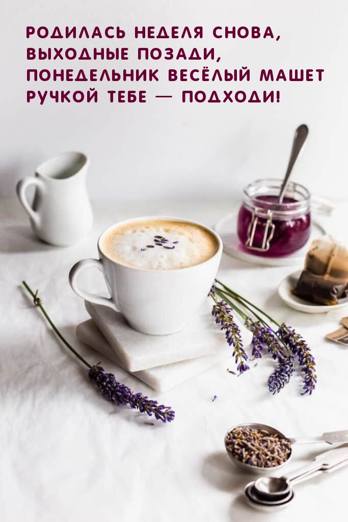 Родилась неделя снова, выходные позади