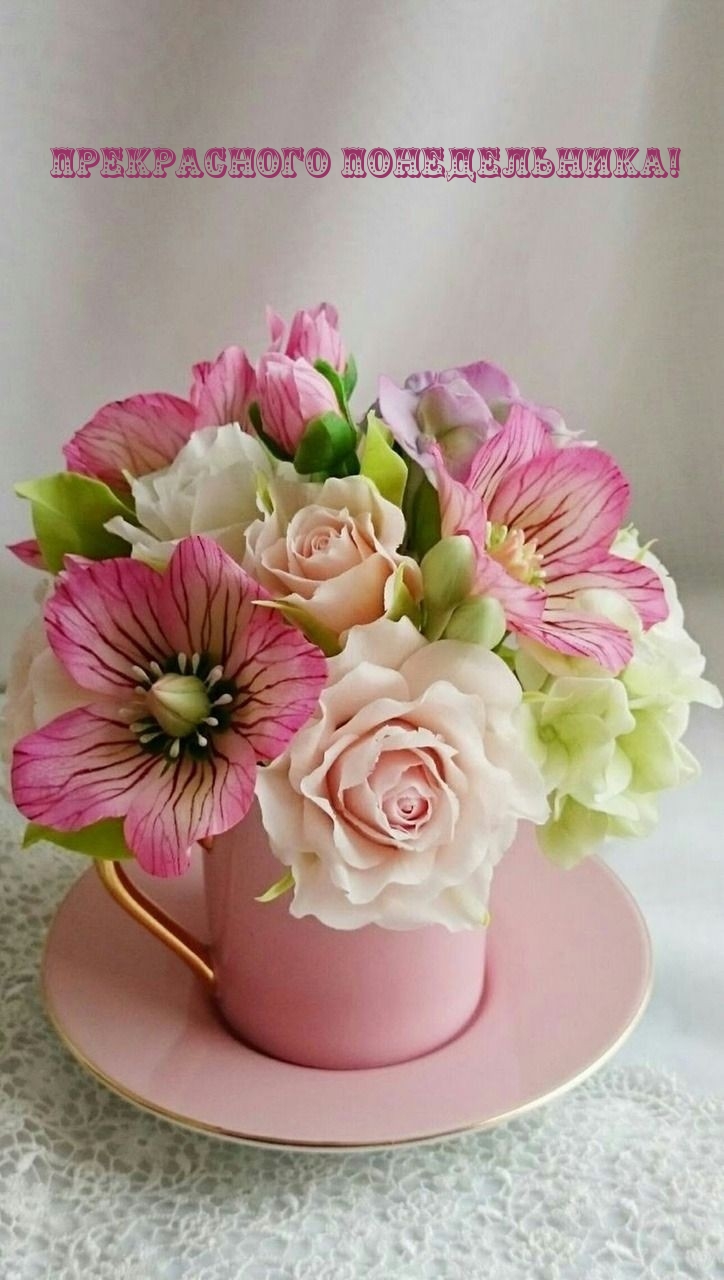 Прекрасного понедельника!