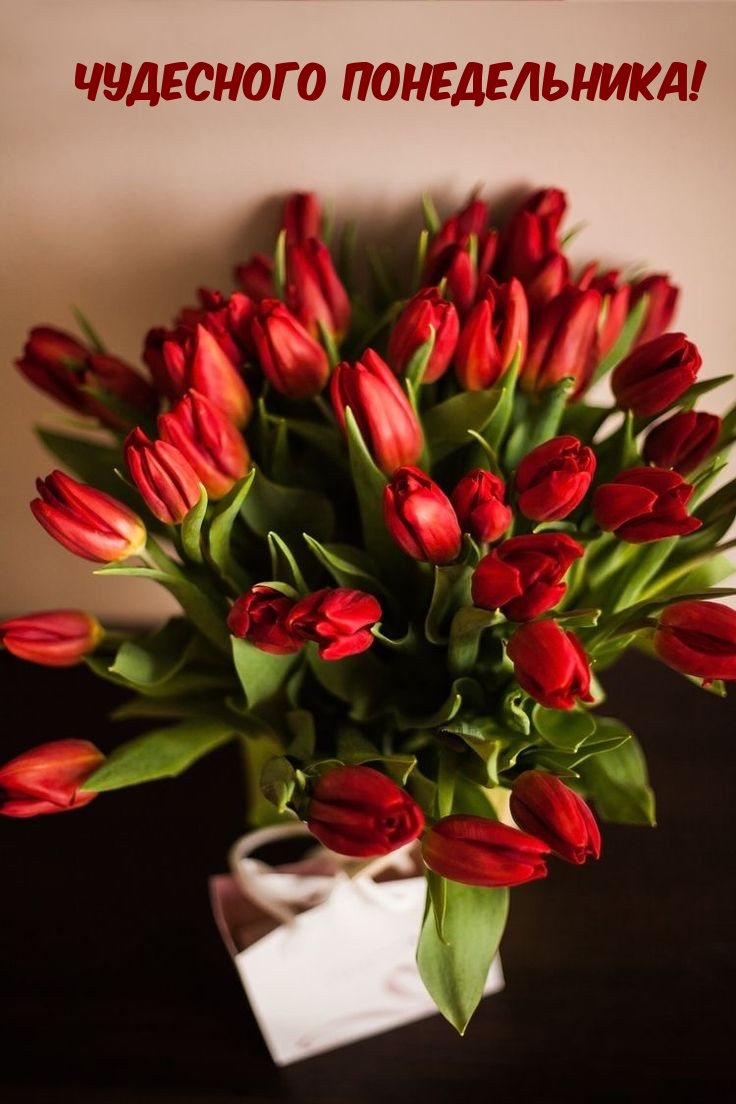 Чудесного понедельника!