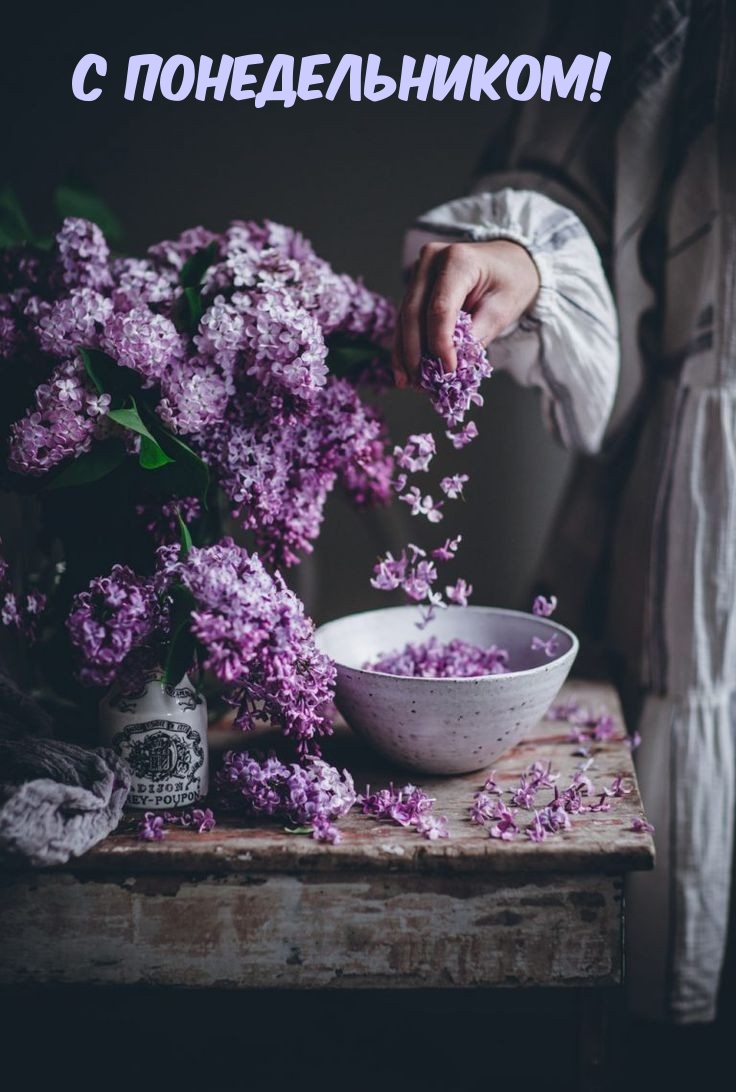 С понедельником!