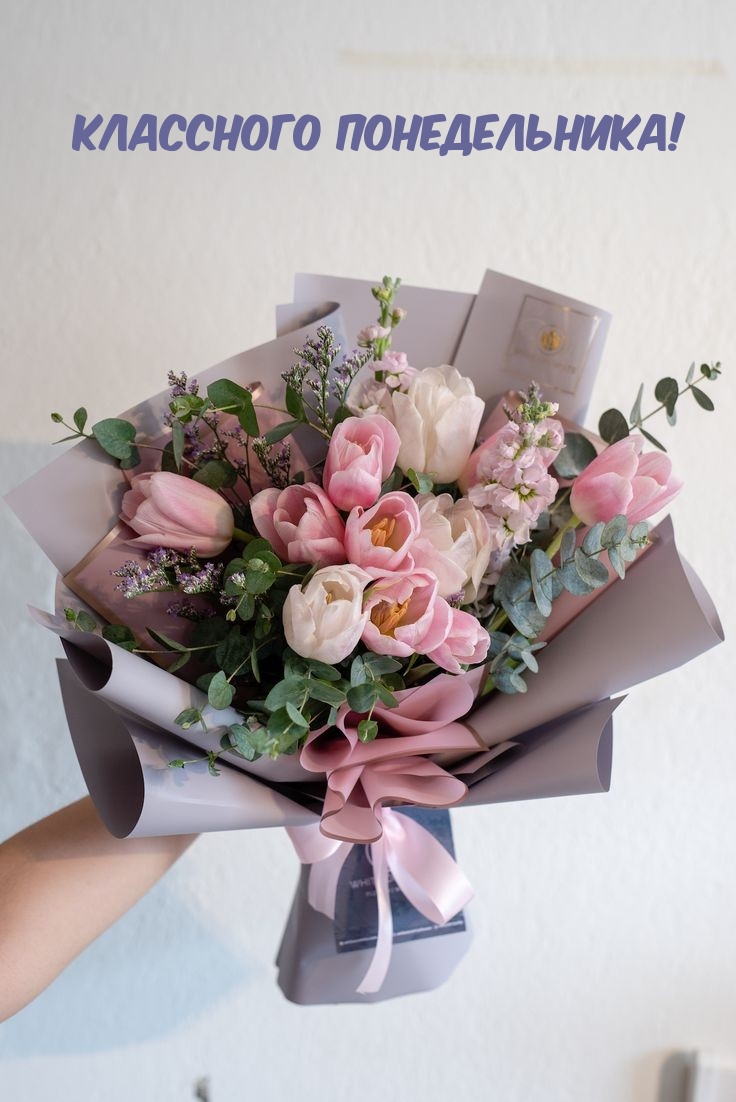 Классного понедельника!