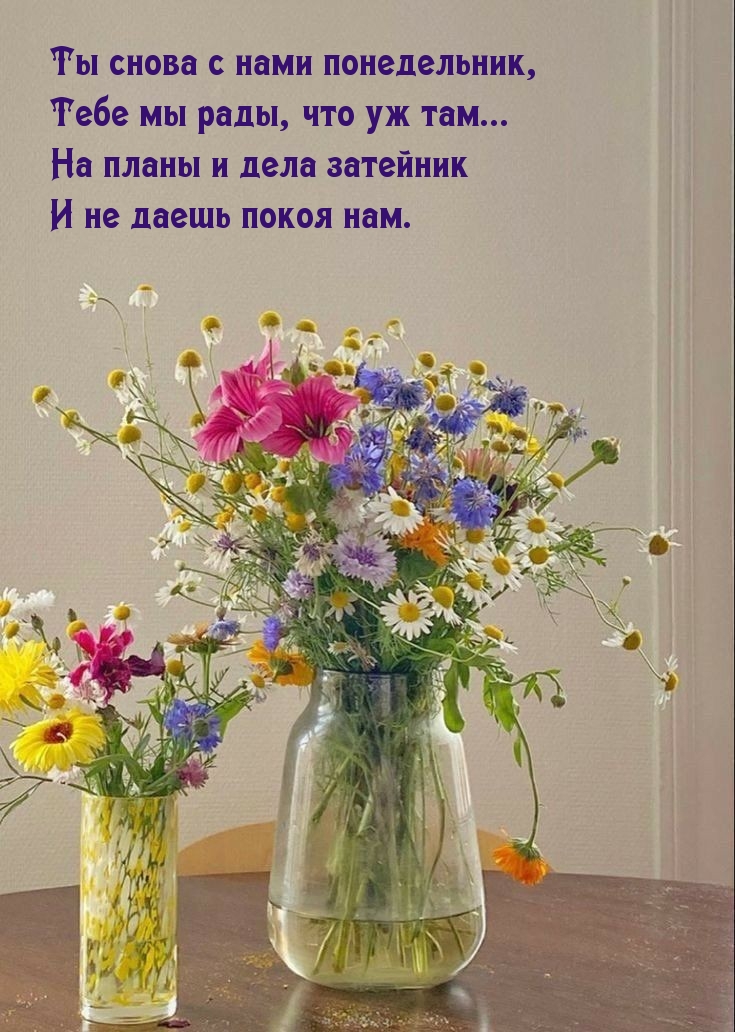 Ты снова с нами понедельник, тебе мы рады, что уж там…