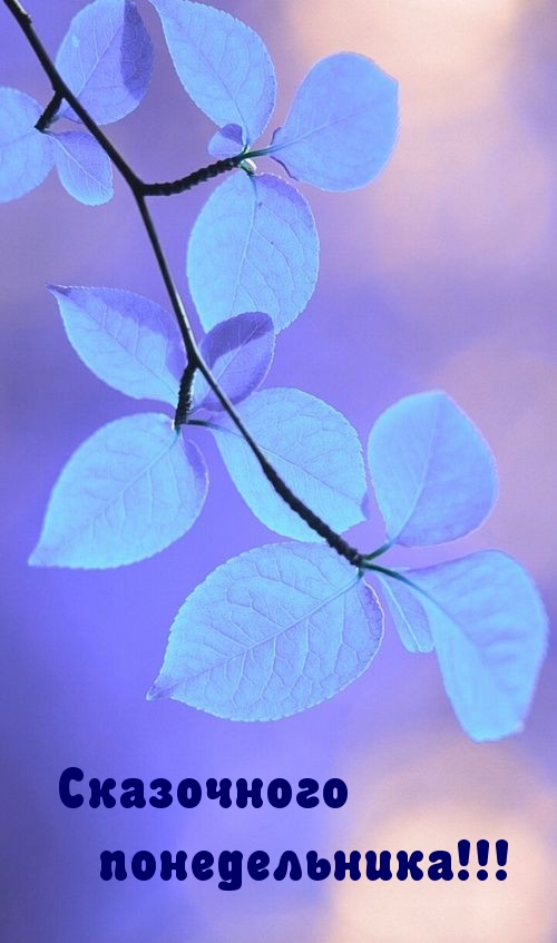 Сказочного понедельника!