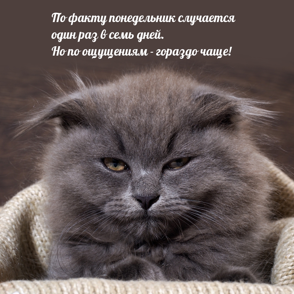 По факту понедельник случается один раз в семь дней.