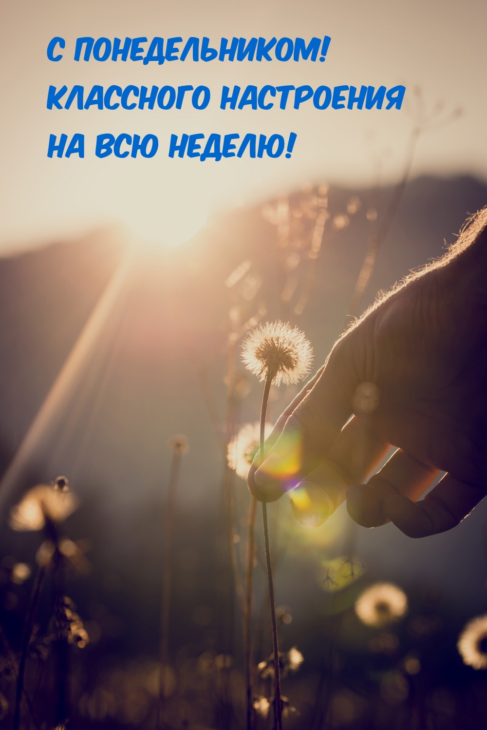 C понедельником! Классного настроения на всю неделю!