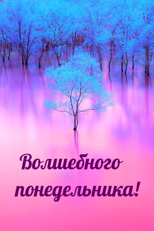 Волшебного понедельника!