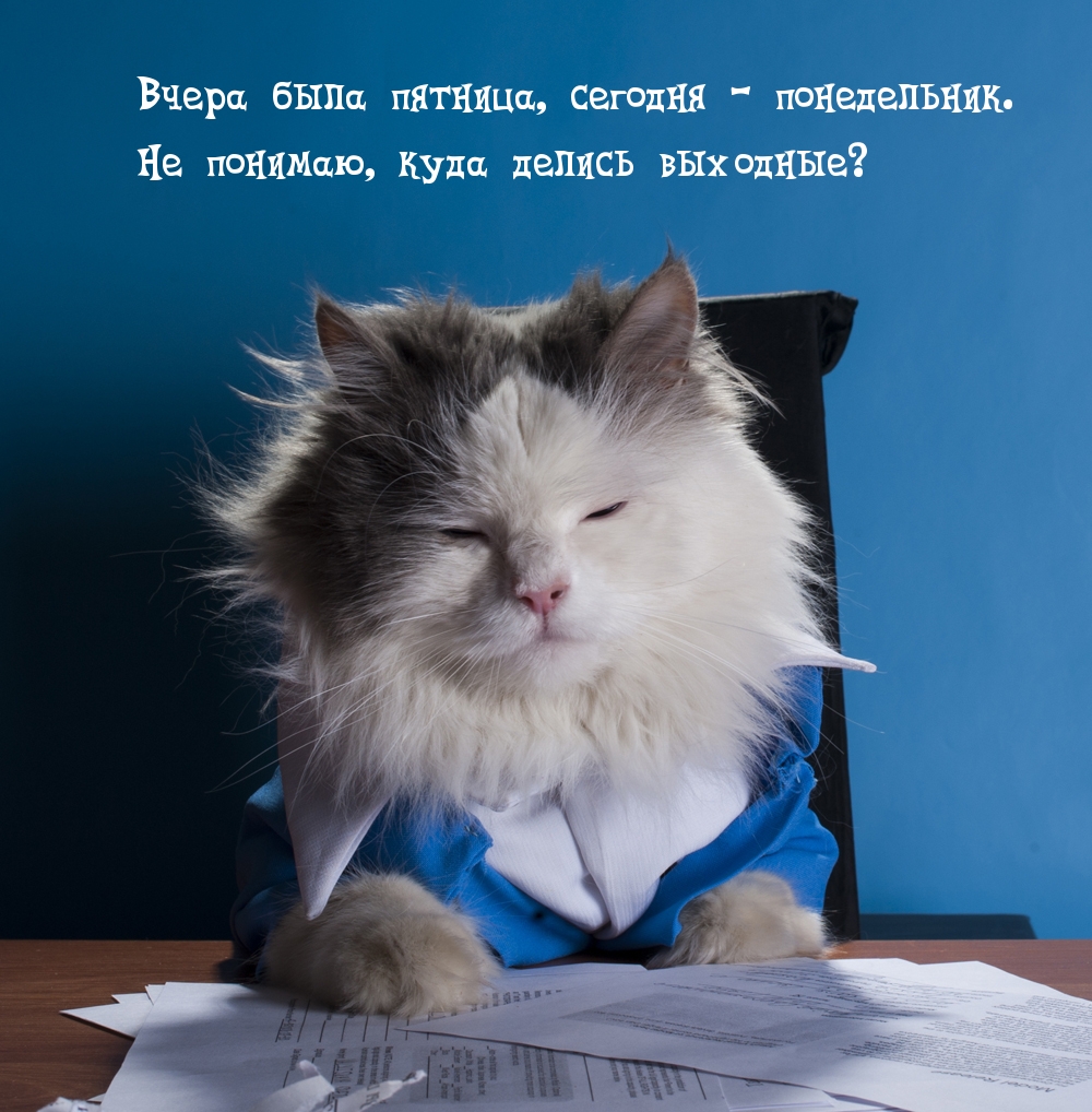 Вчера была пятница, сегодня — понедельник.