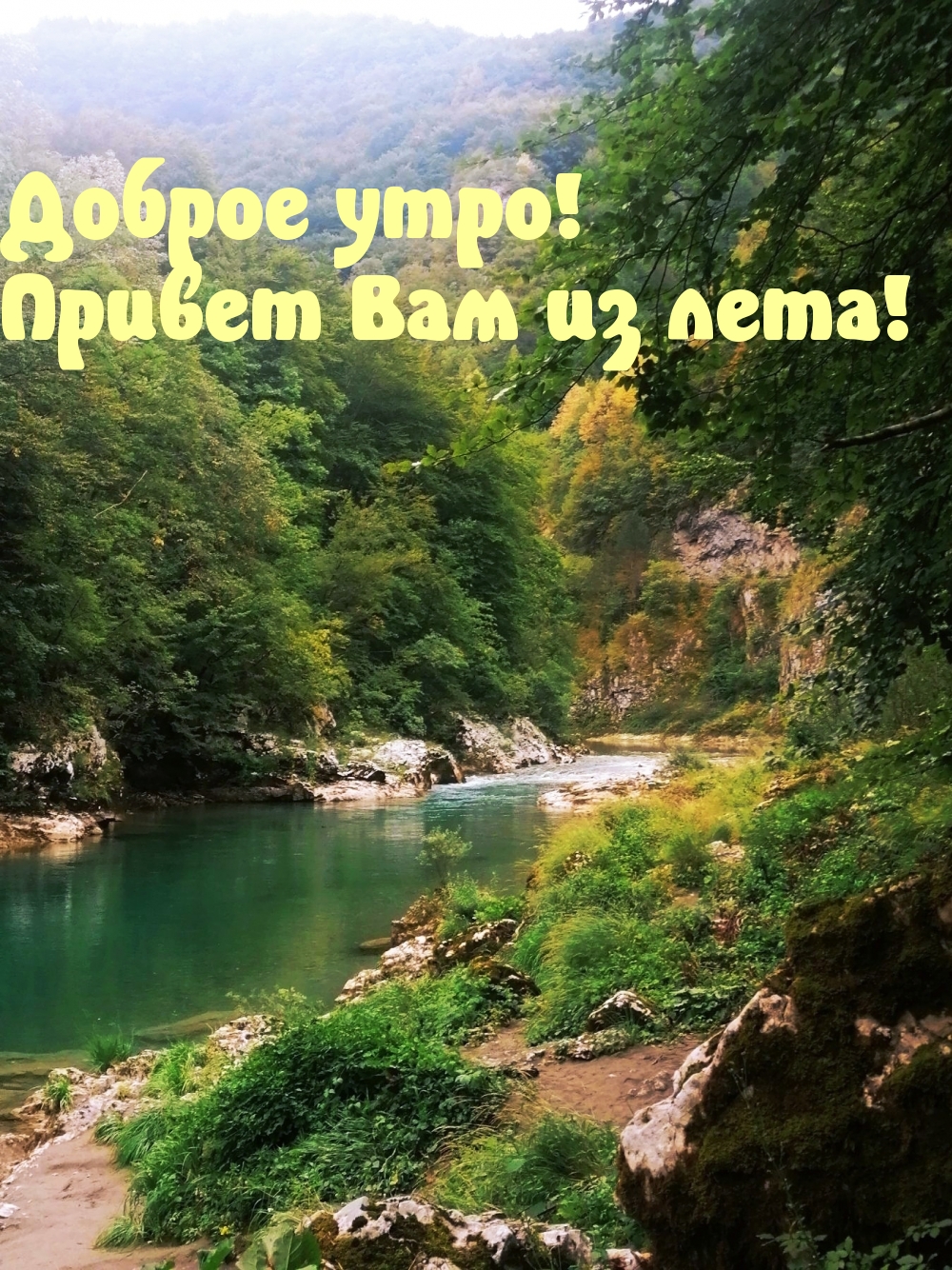 Доброе утро! Привет Вам из лета!