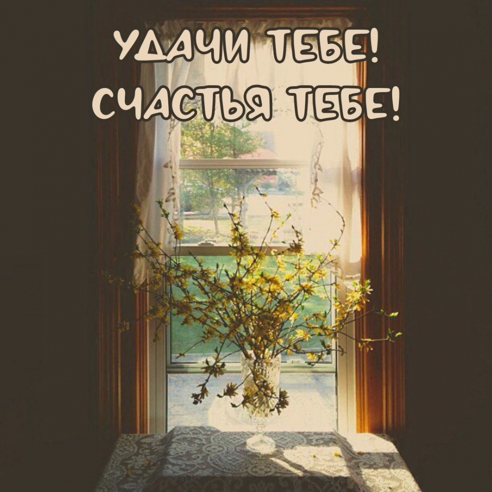 Удачи тебе! Счастья тебе!