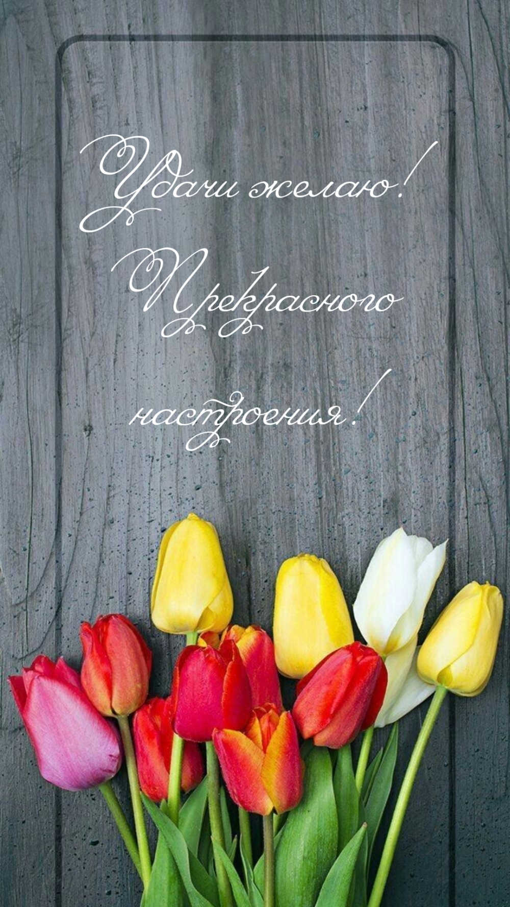 Удачи желаю! Прекрасного настроения!