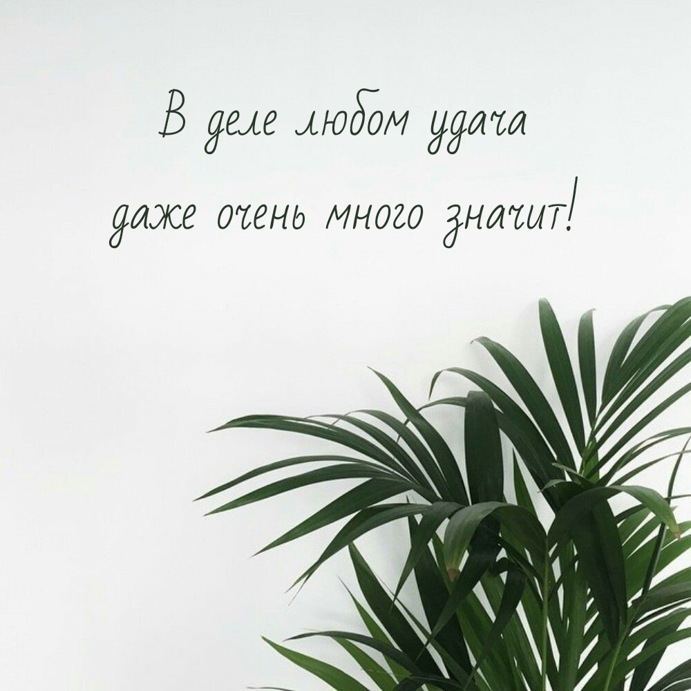 В деле любом удача даже очень много значит!