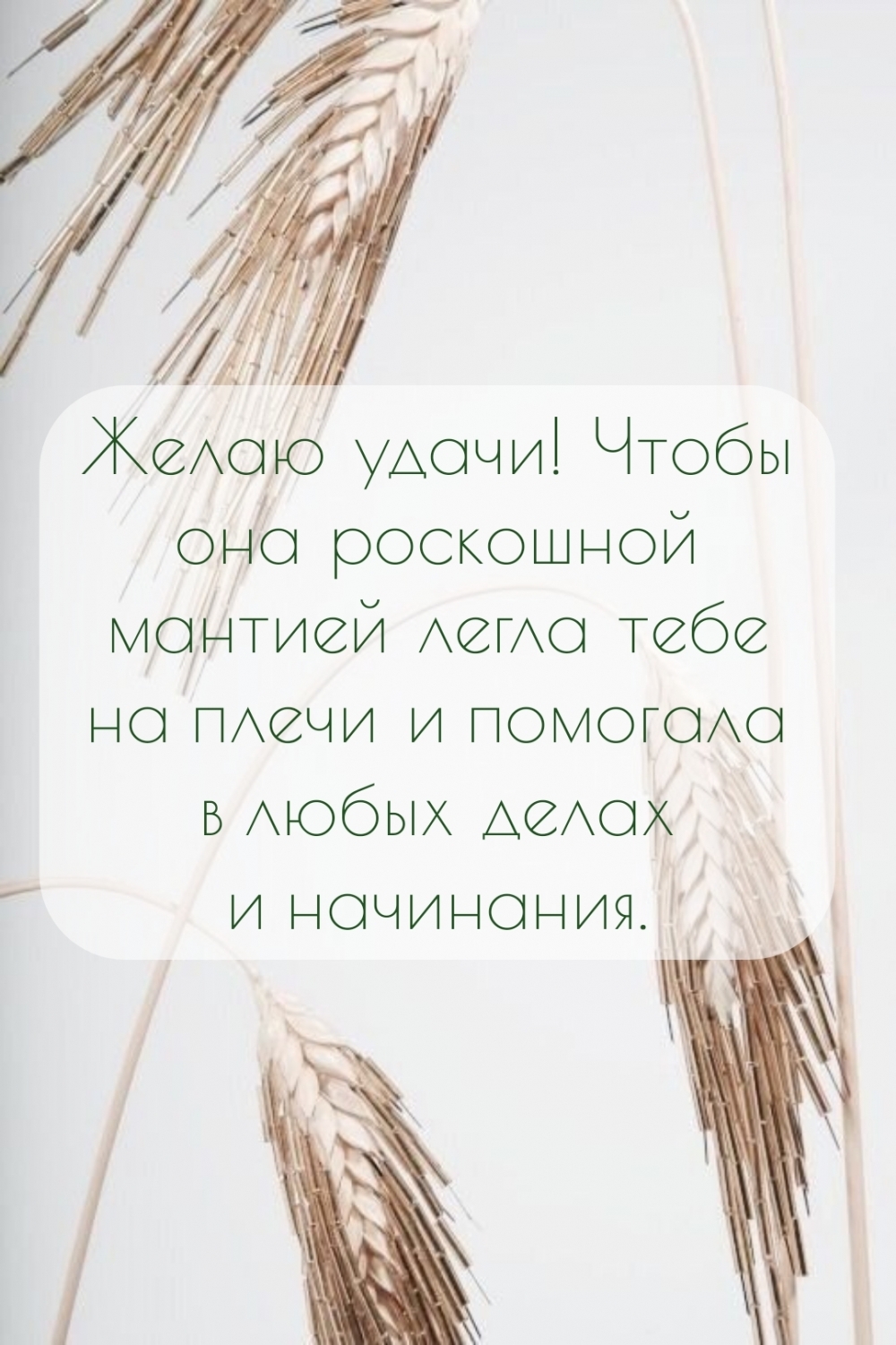 Желаю удачи!