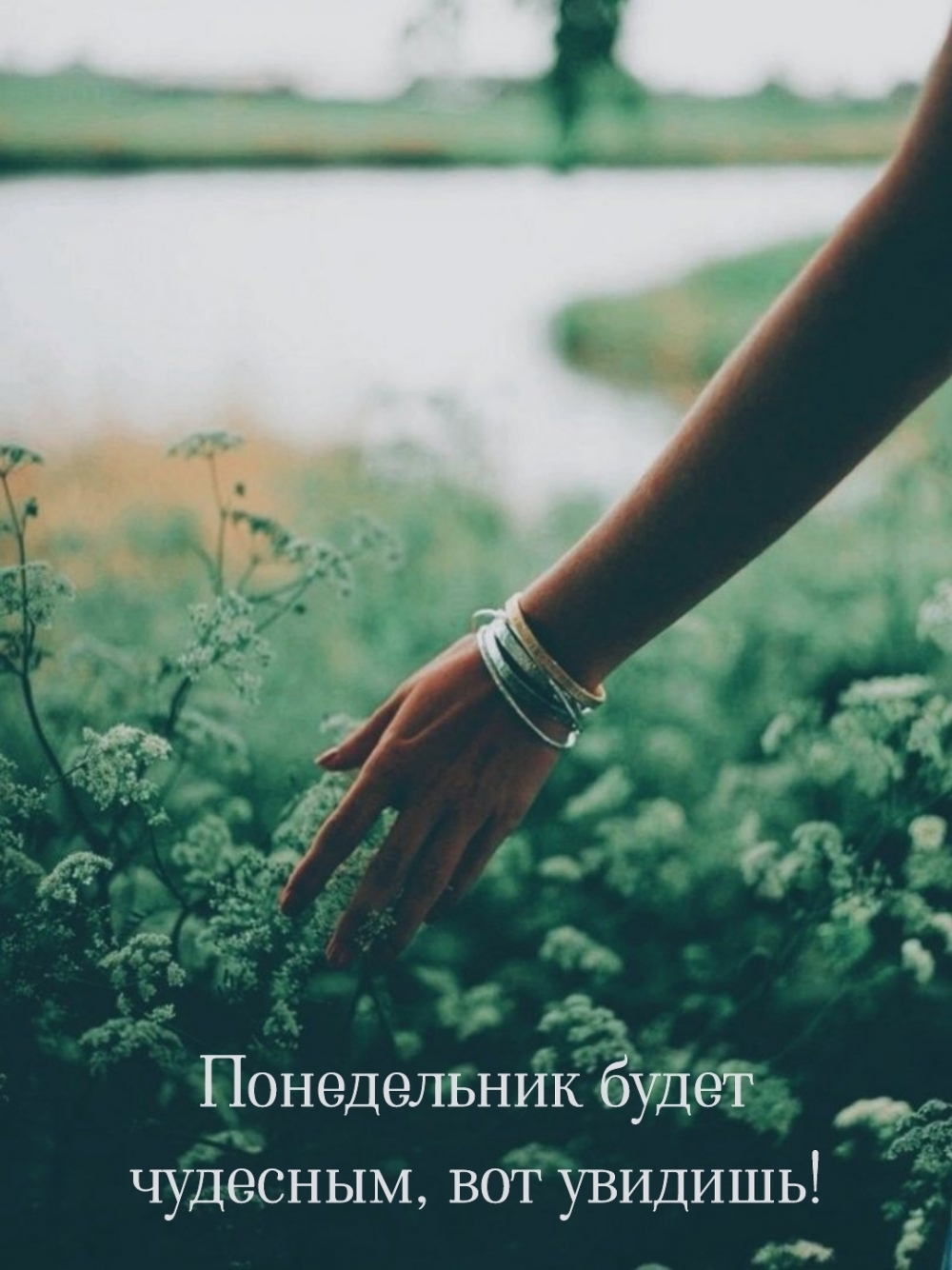 Понедельник будет чудесным, вот увидишь.