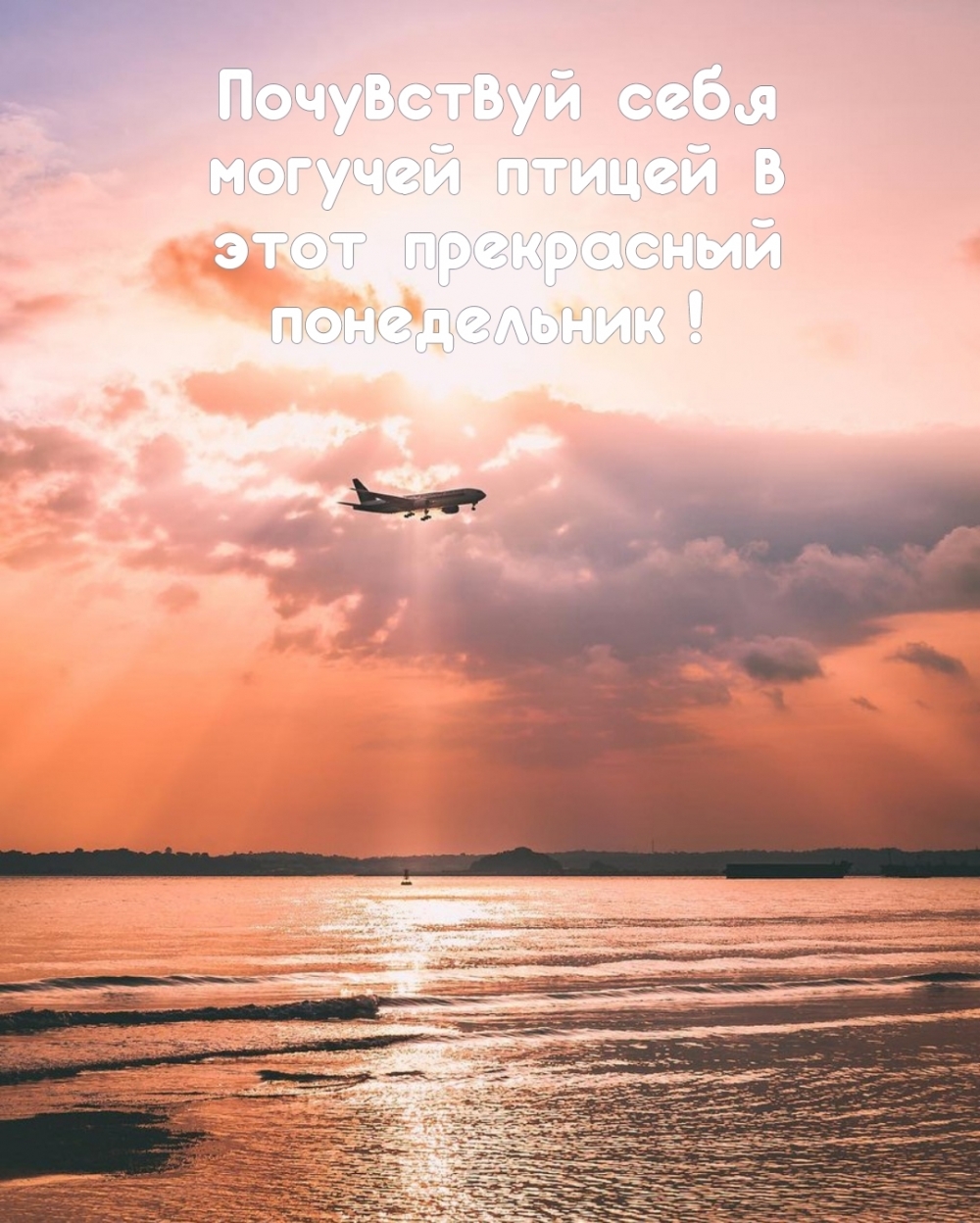 Почувствуй себя могучей птицей в этот прекрасный понедельник!