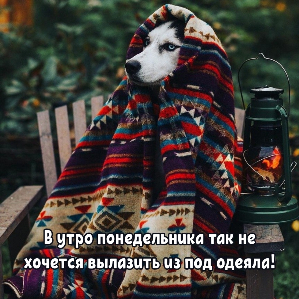 В утро понедельника так не хочется вылазить из под одеяла!