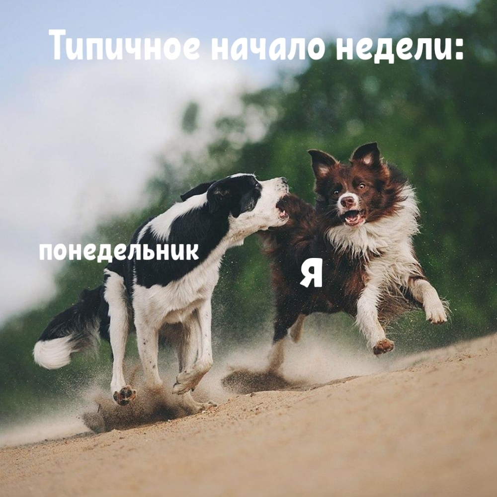 Типичное начало недели: понедельник я