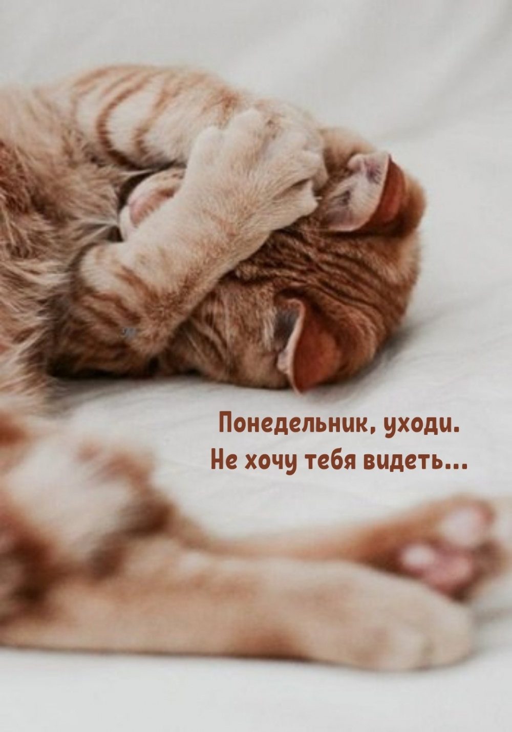 Понедельник, уходи. Не хочу тебя видеть…