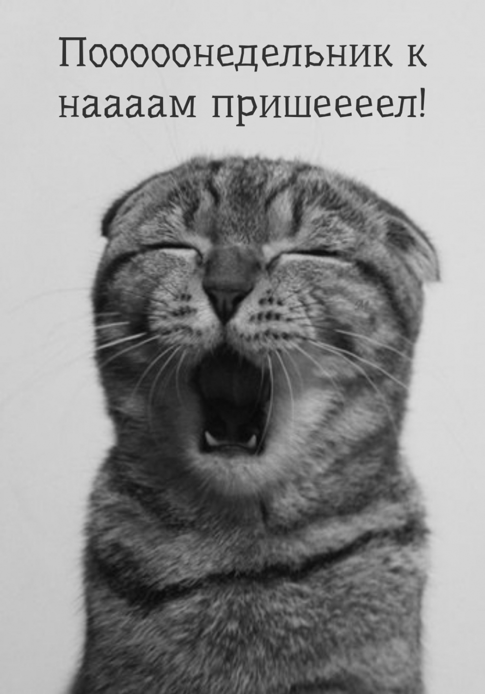 Пооооонедельник к наааам пришеееел!