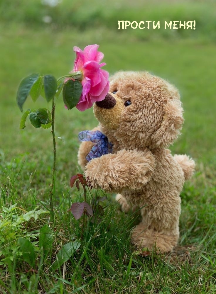 Прости меня!
