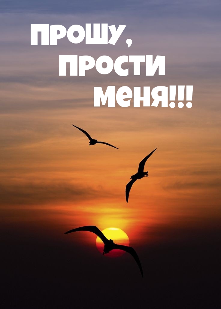 Прошу, прости меня!