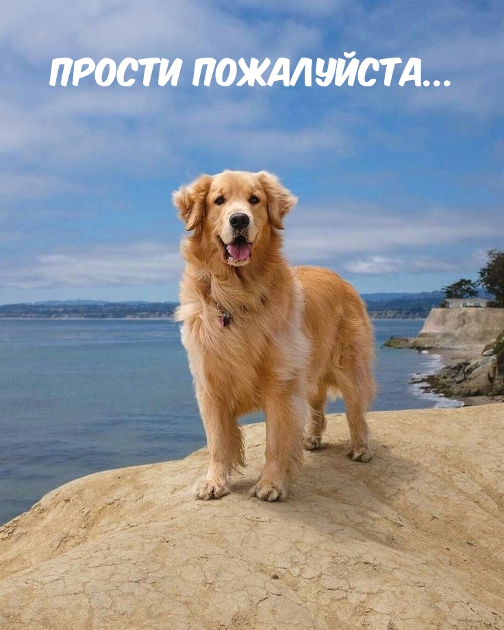 Прости пожалуйста…