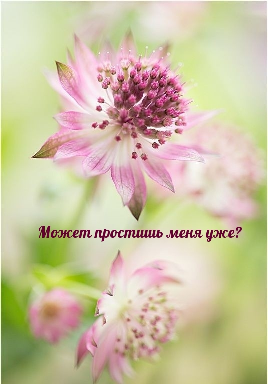 Может простишь меня уже?