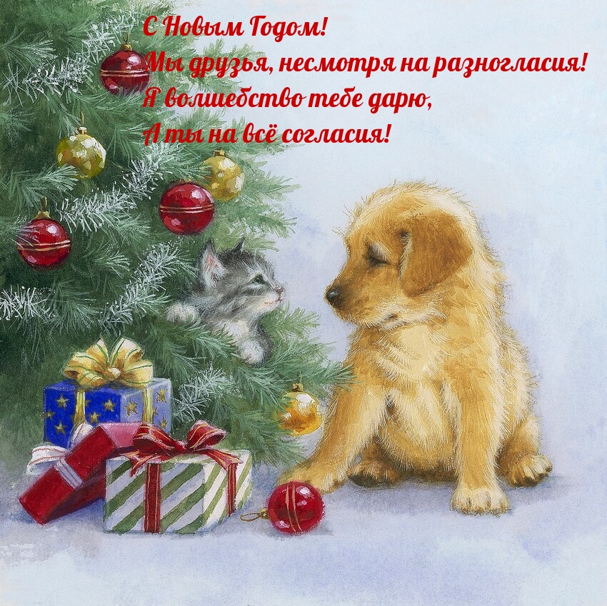 С Новым Годом! Мы друзья, несмотря на разногласия!
