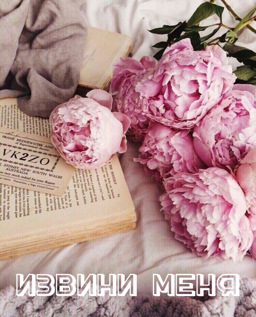 Извини меня