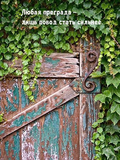 Любая преграда — лишь повод стать сильнее.