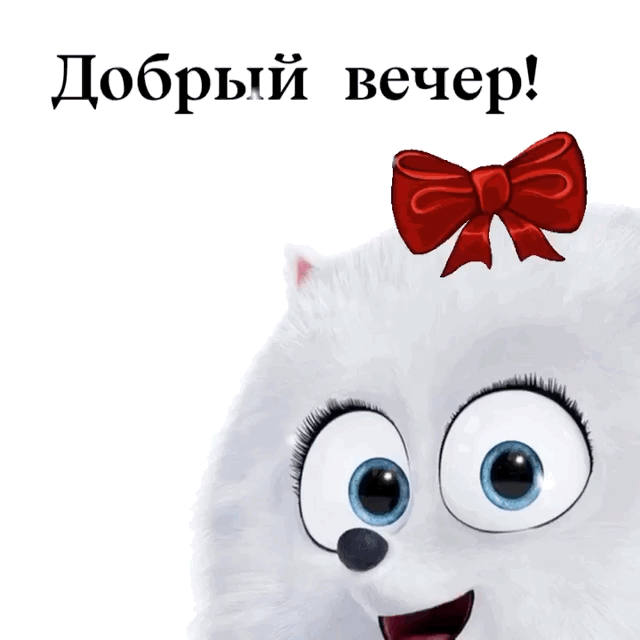 Добрый вечер!