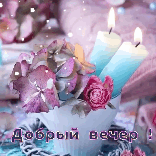 Добрый вечер!