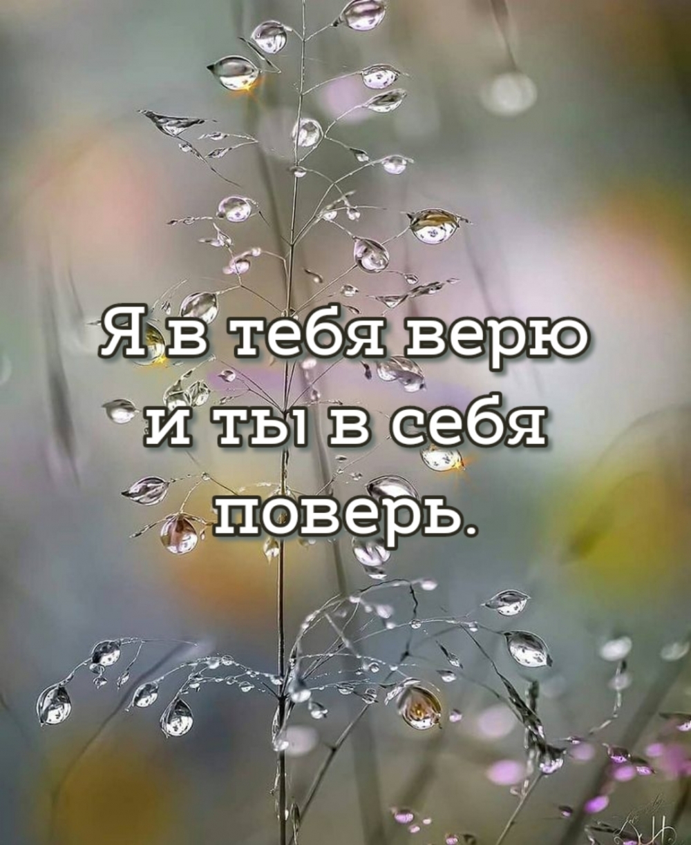 Я в тебя верю и ты в себя поверь.