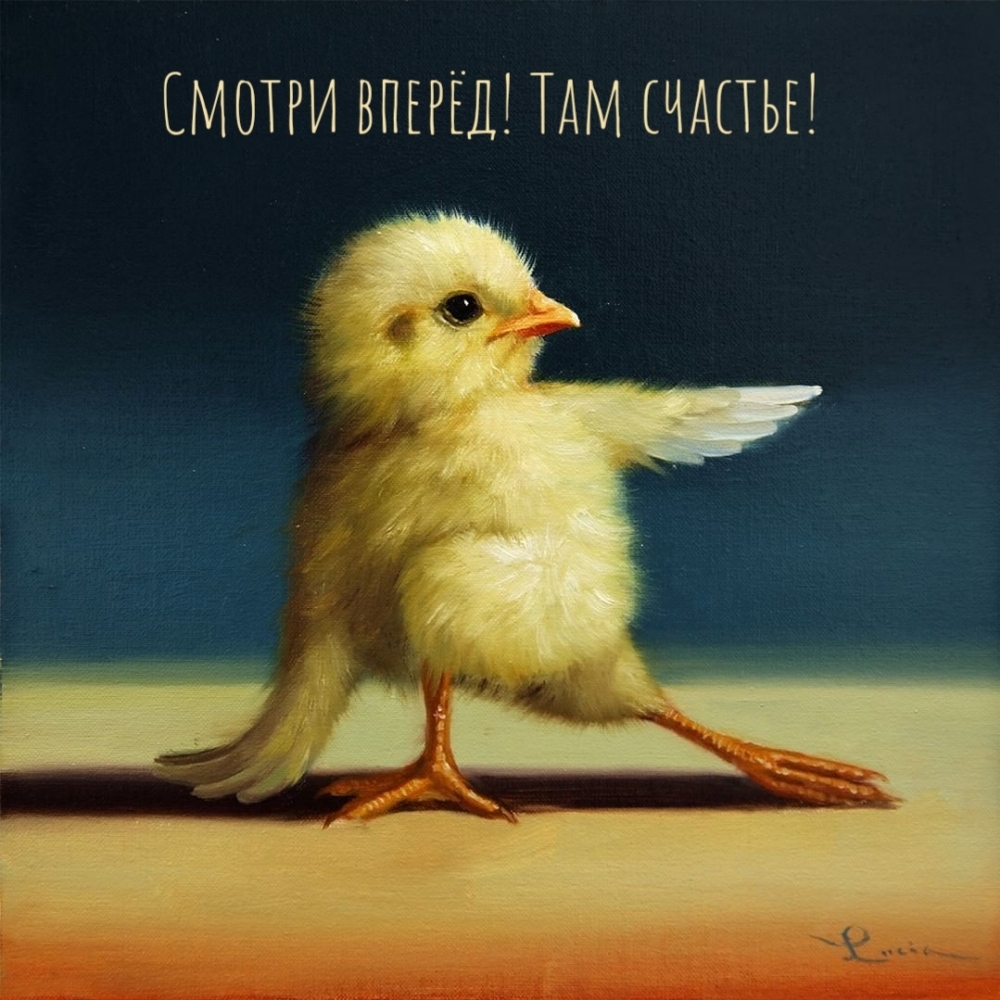 Смотри вперёд! Там счастье!