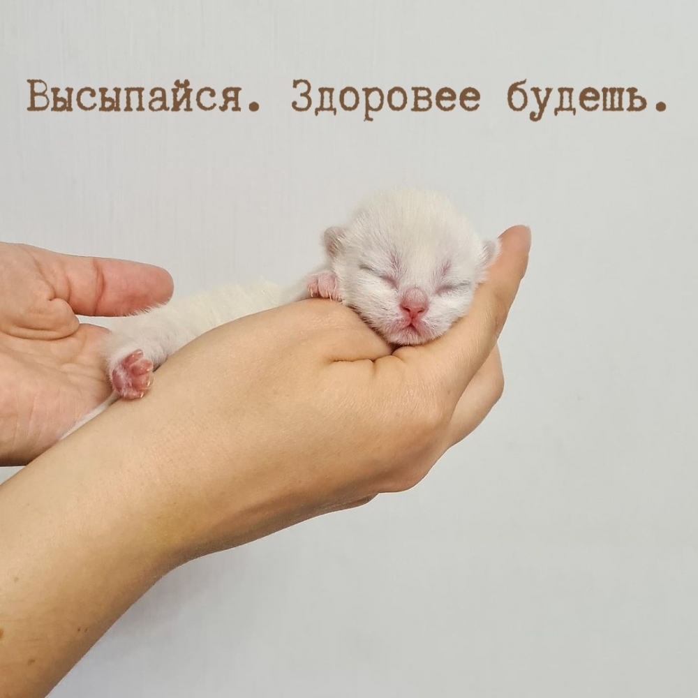Высыпайся. Здоровее будешь.