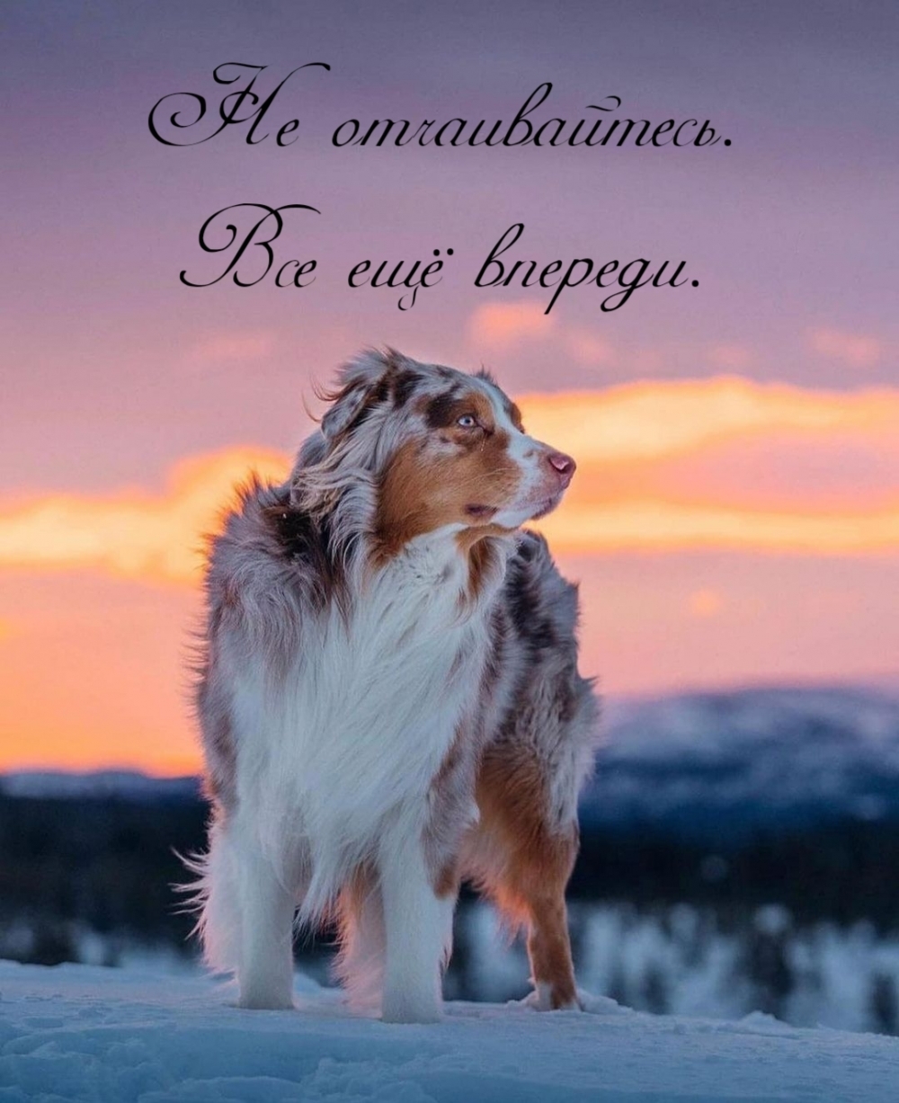 Не отчаивайтесь. Все ещё впереди.