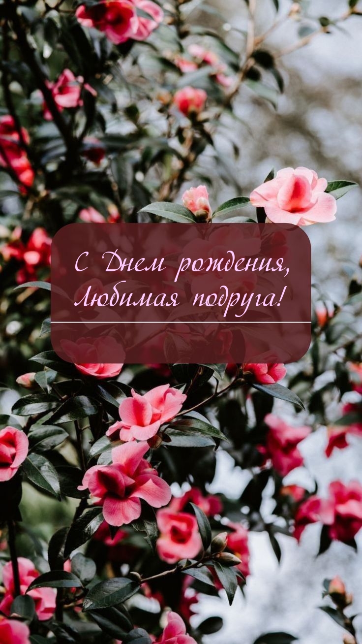 С Днем рождения, Любимая подруга!
