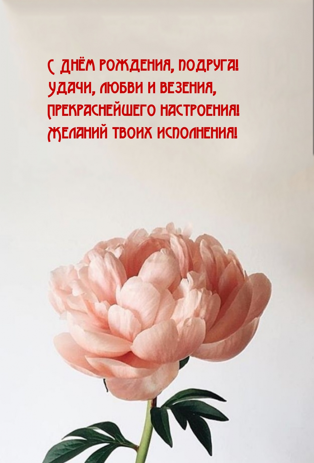 С Днём рождения, подруга!
