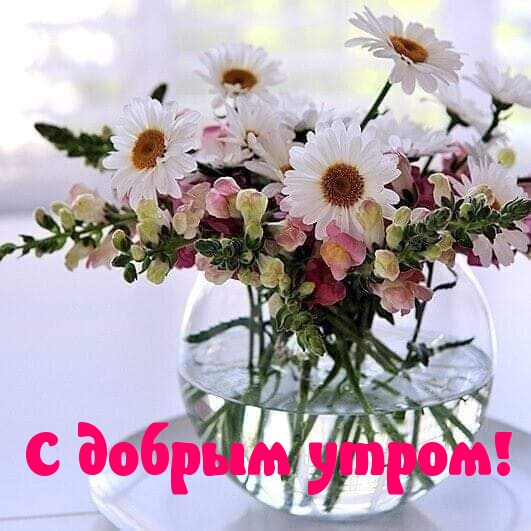 С добрым утром!