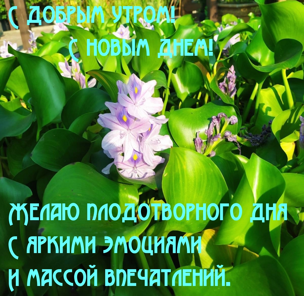 С добрым утром! С новым днем!