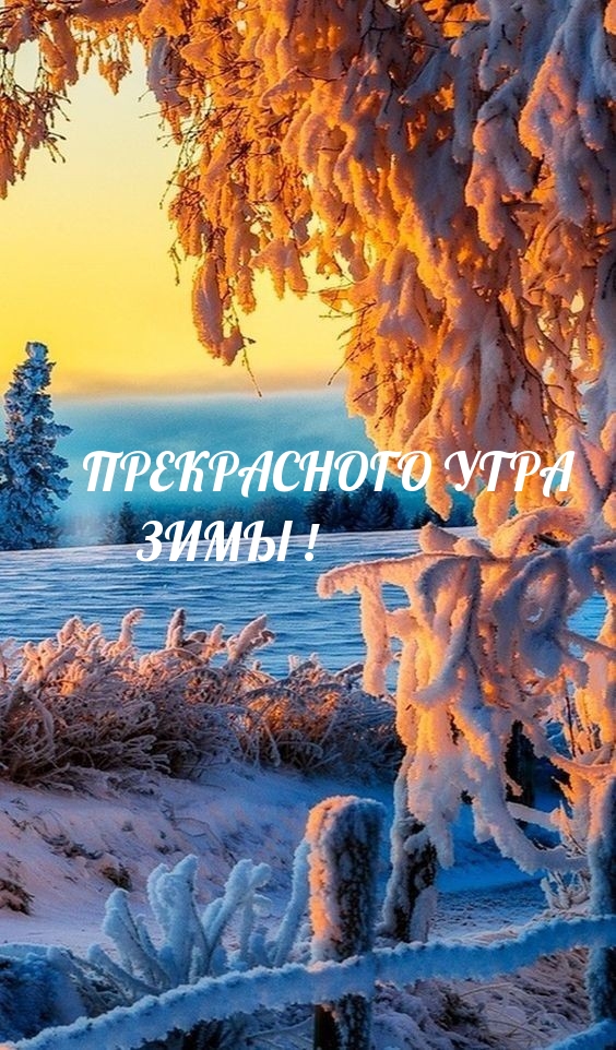 ПРЕКРАСНОГО УТРА ЗИМЫ!