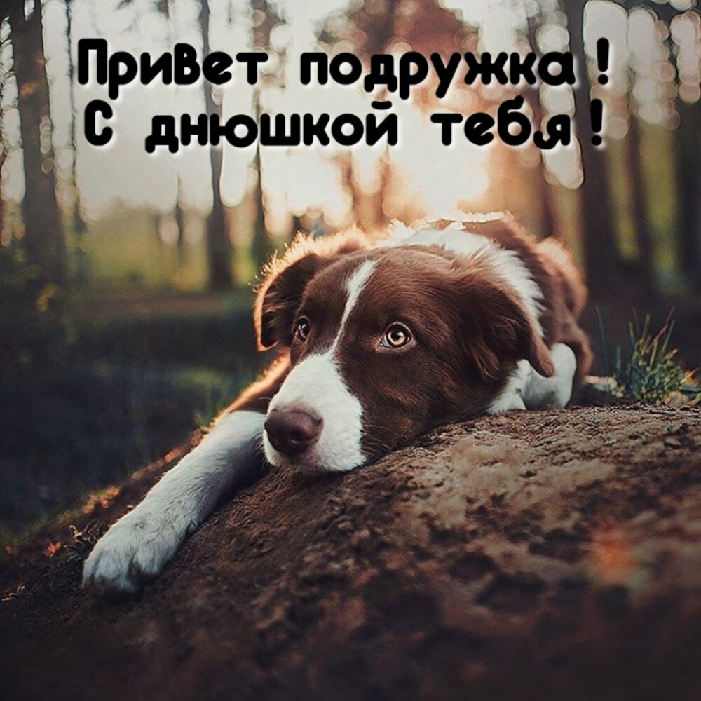 Привет подружка! С днюшкой тебя!