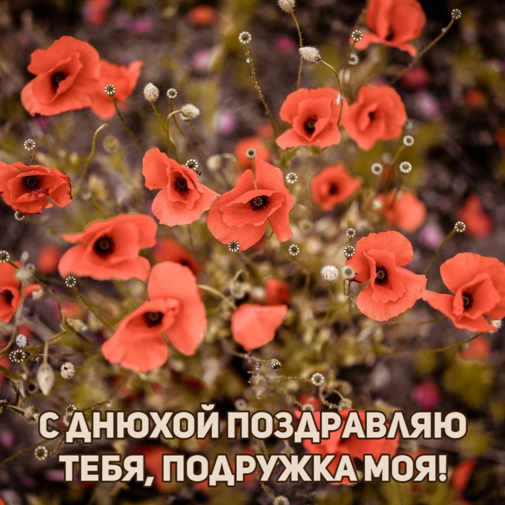 С днюхой поздравляю тебя, подружка моя!
