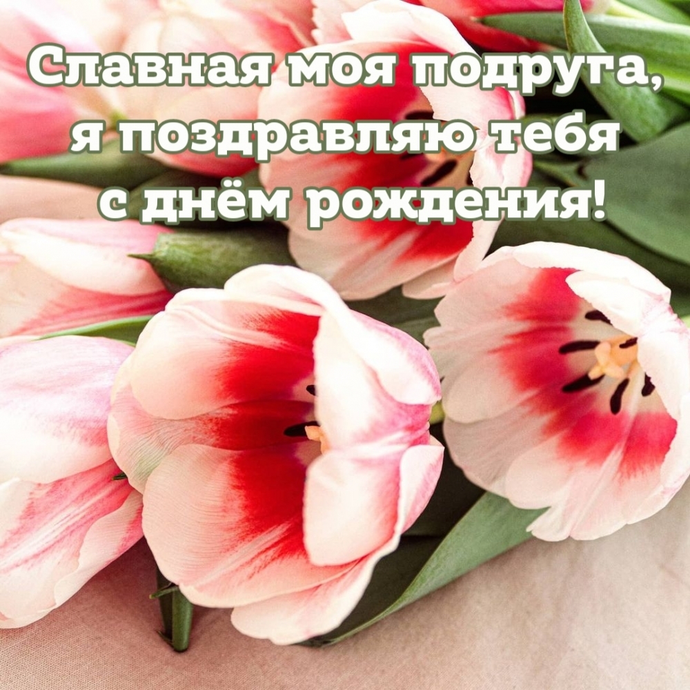 Славная моя подруга, я поздравляю тебя с днём рождения!