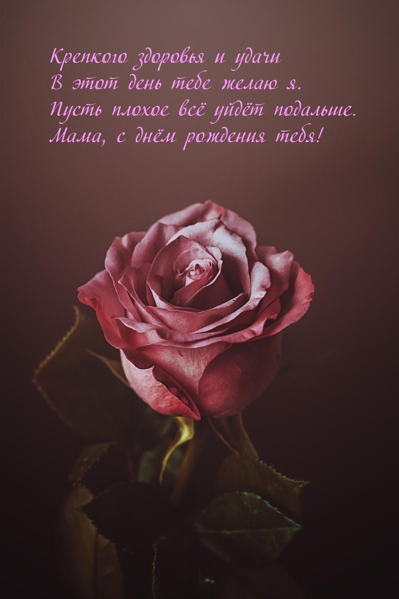 Крепкого здоровья и удачи в этот день тебе желаю я.