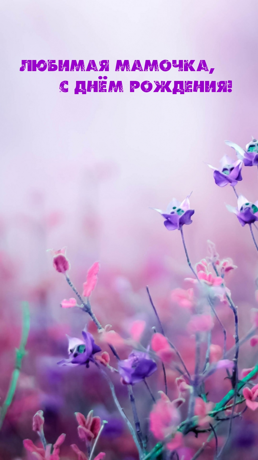 Любимая мамочка, с днём рождения!