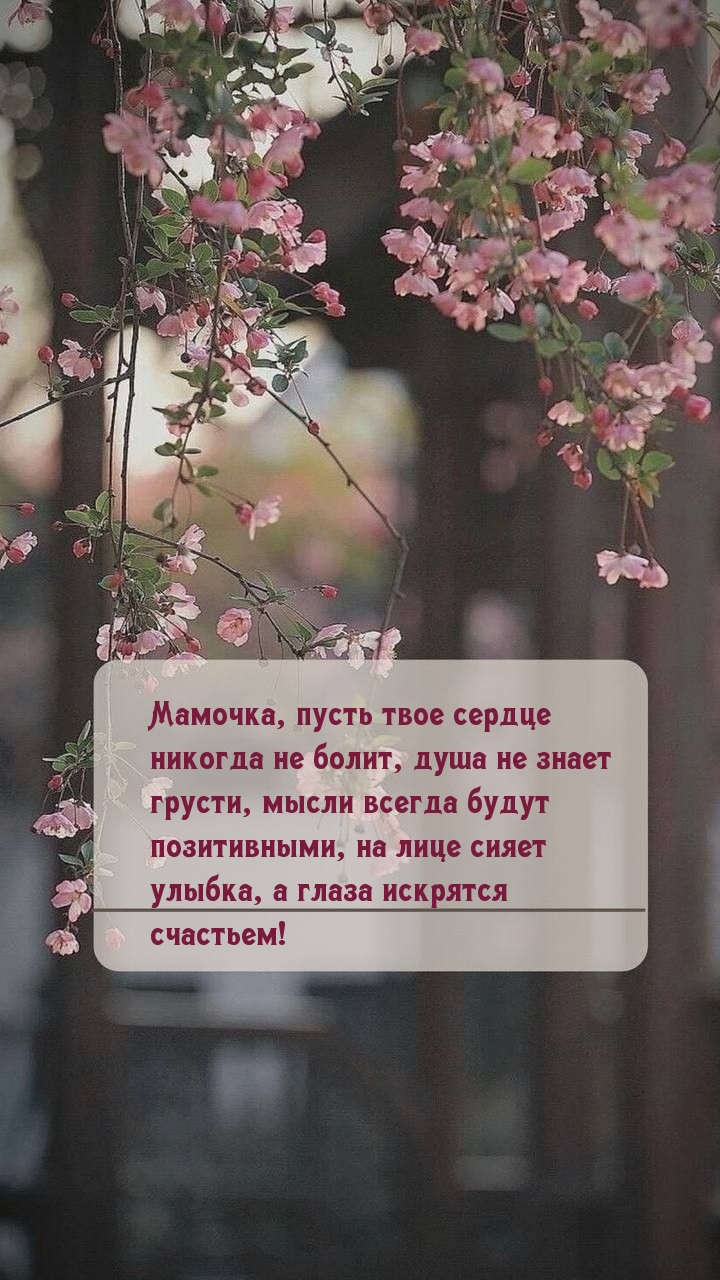 Мамочка, пусть твое сердце никогда не болит