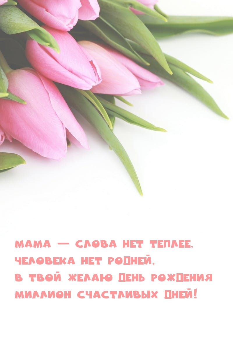 Мама — слова нет теплее, человека нет родней