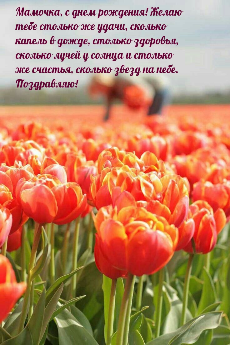 Мамочка, с днем рождения! Желаю тебе столько же удачи